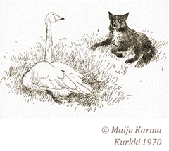 Maija Karman kuvitusta kirjaan Kurkki  1970 WSOY